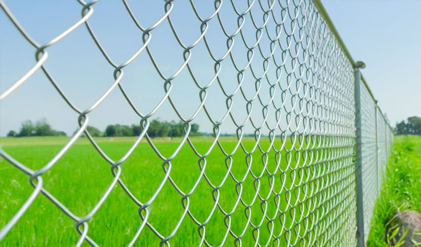 Tela Losangular Galvanizada